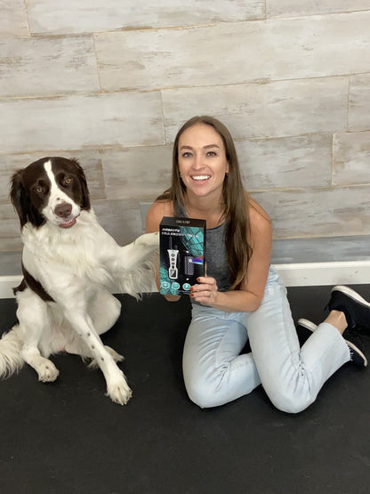 HushPup - Dog Training Collar - 3280 Fee w/ Remote